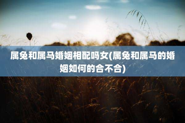 属兔和属马婚姻相配吗女(属兔和属马的婚姻如何的合不合)