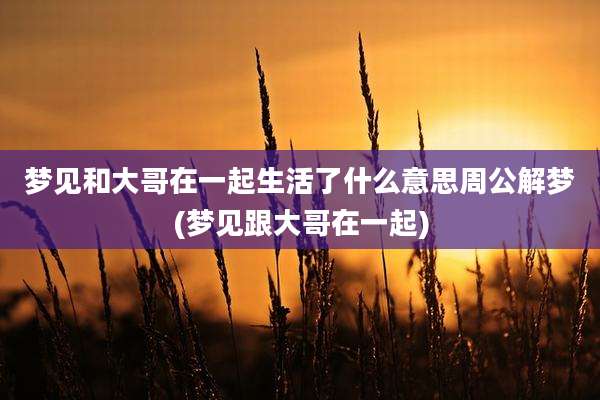梦见和大哥在一起生活了什么意思周公解梦(梦见跟大哥在一起)
