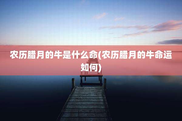 农历腊月的牛是什么命(农历腊月的牛命运如何)