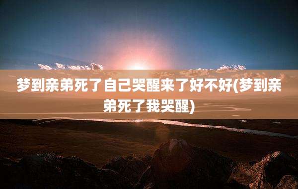 梦到亲弟死了自己哭醒来了好不好(梦到亲弟死了我哭醒)