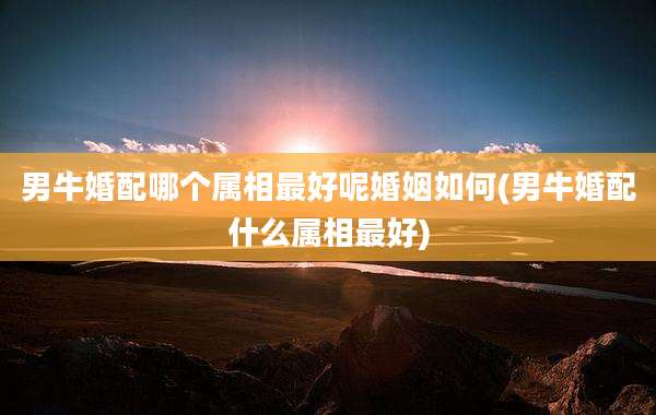 男牛婚配哪个属相最好呢婚姻如何(男牛婚配什么属相最好)
