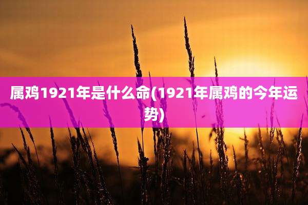 属鸡1921年是什么命(1921年属鸡的今年运势)