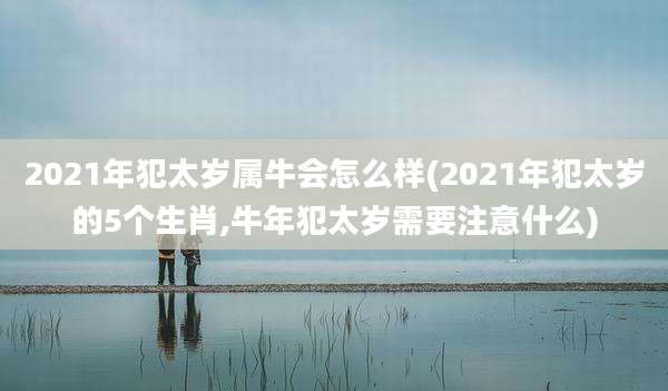 2021年犯太岁属牛会怎么样(2021年犯太岁的5个生肖,牛年犯太岁需要注意什么)