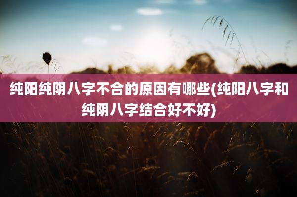 纯阳纯阴八字不合的原因有哪些(纯阳八字和纯阴八字结合好不好)
