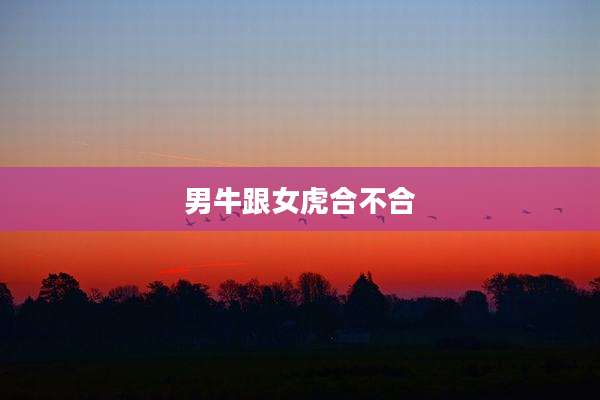 男牛跟女虎合不合