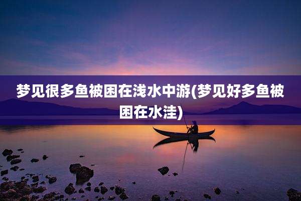 梦见很多鱼被困在浅水中游(梦见好多鱼被困在水洼)