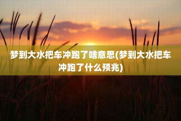 梦到大水把车冲跑了啥意思(梦到大水把车冲跑了什么预兆)
