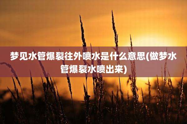 梦见水管爆裂往外喷水是什么意思(做梦水管爆裂水喷出来)