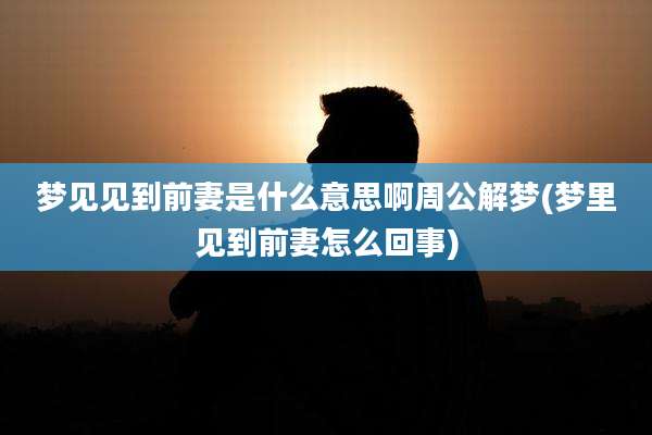 梦见见到前妻是什么意思啊周公解梦(梦里见到前妻怎么回事)
