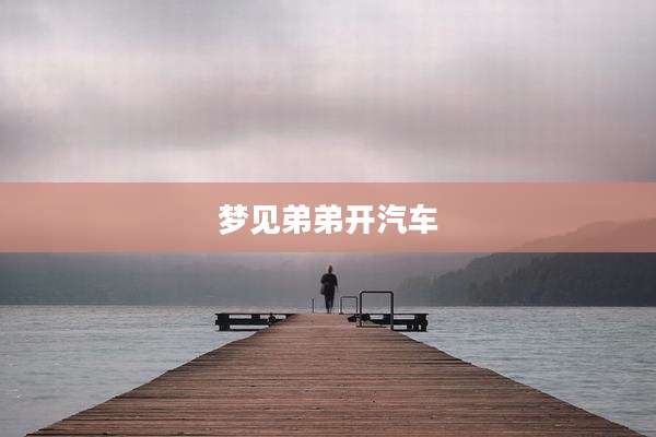 梦见弟弟开汽车