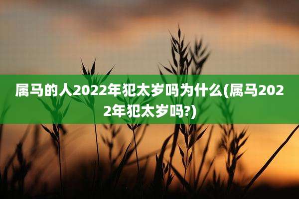 属马的人2022年犯太岁吗为什么(属马2022年犯太岁吗?)