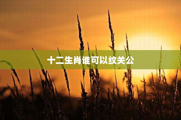 十二生肖谁可以纹关公