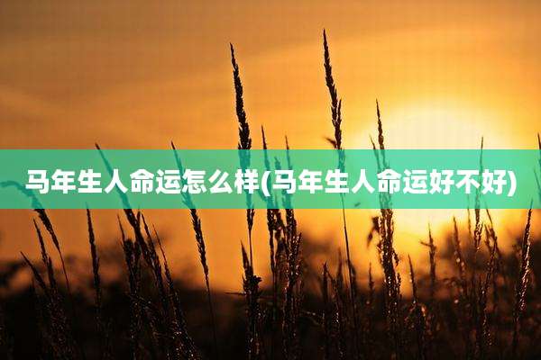 马年生人命运怎么样(马年生人命运好不好)