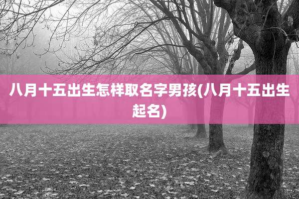 八月十五出生怎样取名字男孩(八月十五出生起名)