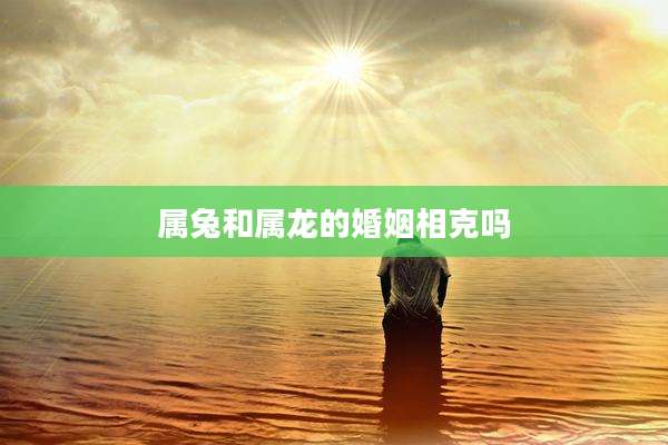 属兔和属龙的婚姻相克吗