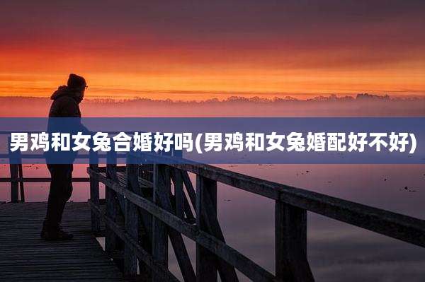 男鸡和女兔合婚好吗(男鸡和女兔婚配好不好)