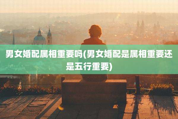 男女婚配属相重要吗(男女婚配是属相重要还是五行重要)
