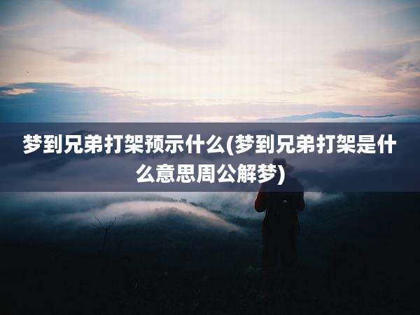 梦到兄弟打架预示什么(梦到兄弟打架是什么意思周公解梦)