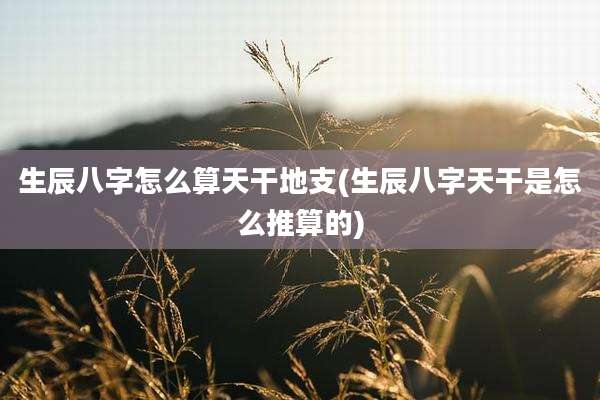 生辰八字怎么算天干地支(生辰八字天干是怎么推算的)