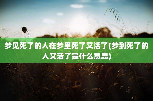 梦见死了的人在梦里死了又活了(梦到死了的人又活了是什么意思)