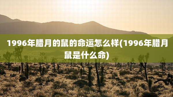 1996年腊月的鼠的命运怎么样(1996年腊月鼠是什么命)