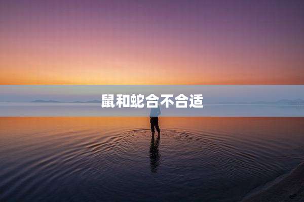 鼠和蛇合不合适