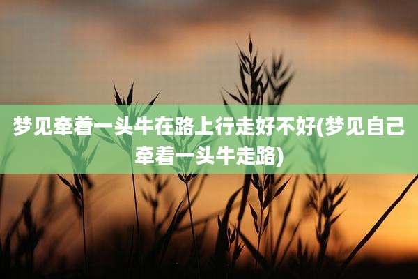 梦见牵着一头牛在路上行走好不好(梦见自己牵着一头牛走路)