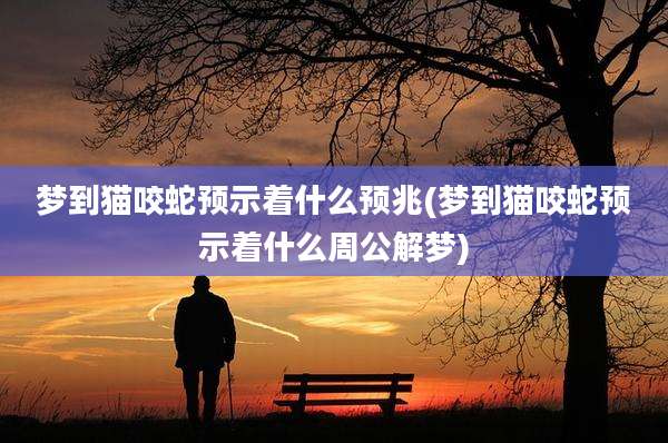 梦到猫咬蛇预示着什么预兆(梦到猫咬蛇预示着什么周公解梦)