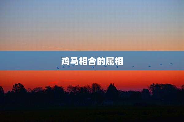 鸡马相合的属相