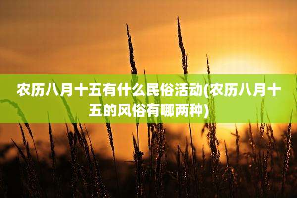 农历八月十五有什么民俗活动(农历八月十五的风俗有哪两种)