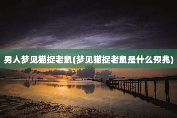 男人梦见猫捉老鼠(梦见猫捉老鼠是什么预兆)