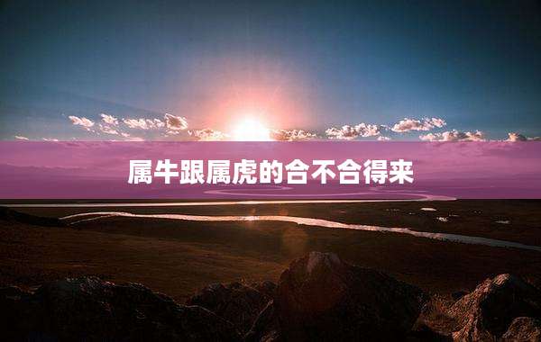 属牛跟属虎的合不合得来