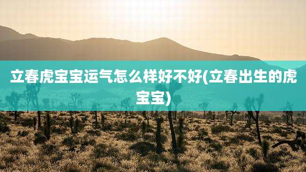 立春虎宝宝运气怎么样好不好(立春出生的虎宝宝)