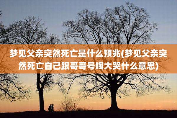 梦见父亲突然死亡是什么预兆(梦见父亲突然死亡自己跟哥哥号啕大哭什么意思)
