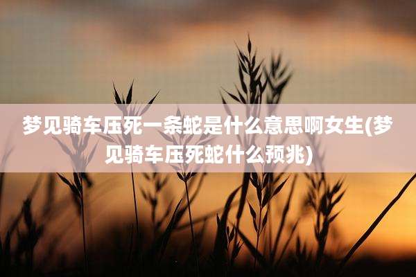梦见骑车压死一条蛇是什么意思啊女生(梦见骑车压死蛇什么预兆)