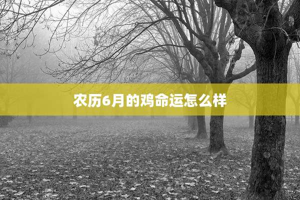 农历6月的鸡命运怎么样