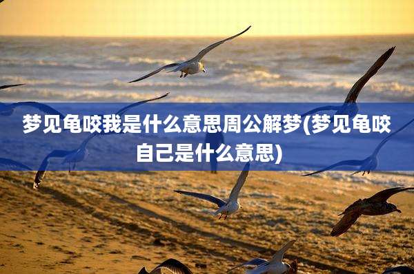 梦见龟咬我是什么意思周公解梦(梦见龟咬自己是什么意思)