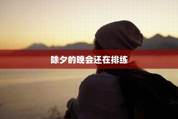除夕的晚会还在排练