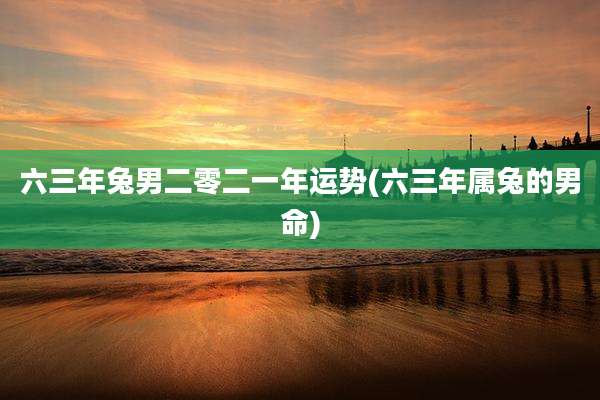 六三年兔男二零二一年运势(六三年属兔的男命)