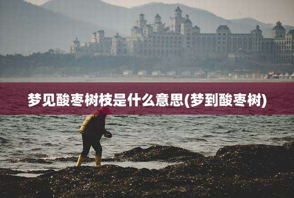 梦见酸枣树枝是什么意思(梦到酸枣树)