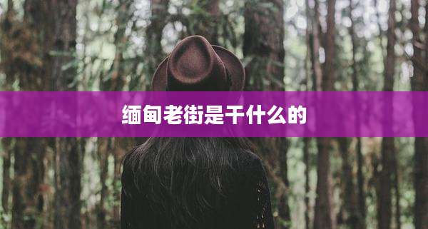 缅甸老街是干什么的