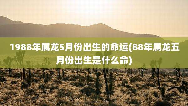 1988年属龙5月份出生的命运(88年属龙五月份出生是什么命)