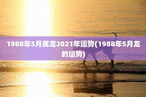 1988年5月属龙2021年运势(1988年5月龙的运势)