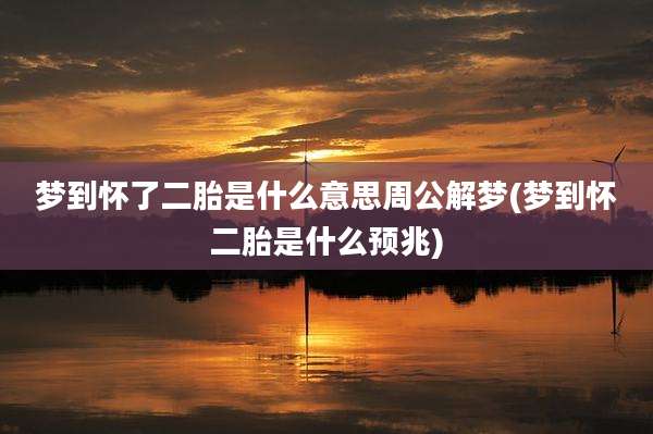 梦到怀了二胎是什么意思周公解梦(梦到怀二胎是什么预兆)