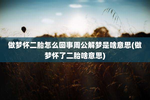 做梦怀二胎怎么回事周公解梦是啥意思(做梦怀了二胎啥意思)