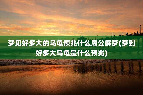 梦见好多大的乌龟预兆什么周公解梦(梦到好多大乌龟是什么预兆)