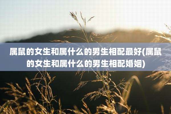 属鼠的女生和属什么的男生相配最好(属鼠的女生和属什么的男生相配婚姻)