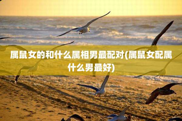 属鼠女的和什么属相男最配对(属鼠女配属什么男最好)