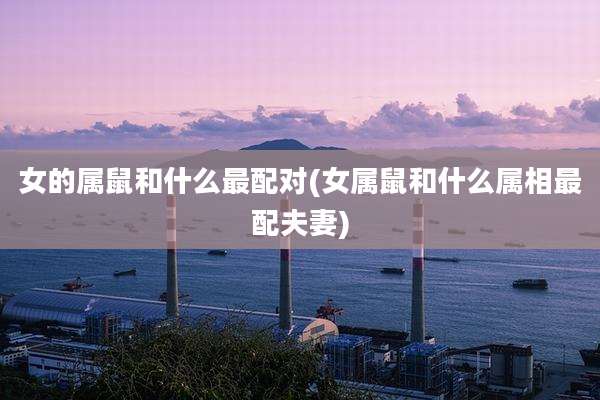 女的属鼠和什么最配对(女属鼠和什么属相最配夫妻)