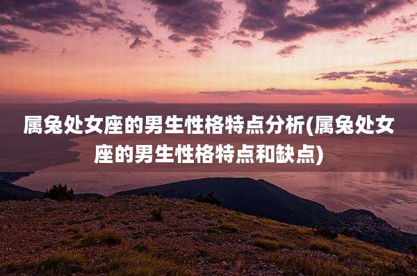 属兔处女座的男生性格特点分析(属兔处女座的男生性格特点和缺点)